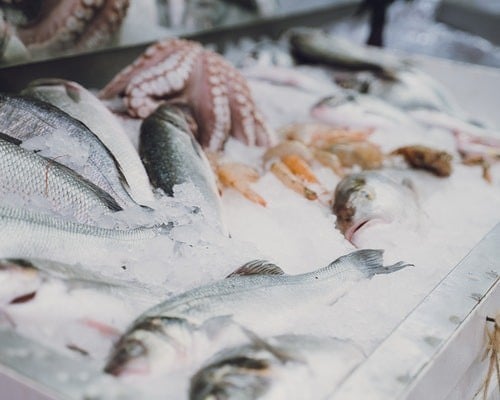 fresh fish market shop